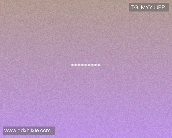 启东足球明星的璀璨星光与他们的传奇故事探索