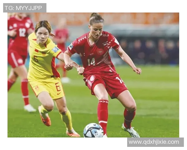 2015南非世界杯法国与丹麦赛前分析及预测展望