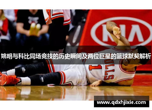 姚明与科比同场竞技的历史瞬间及两位巨星的篮球默契解析