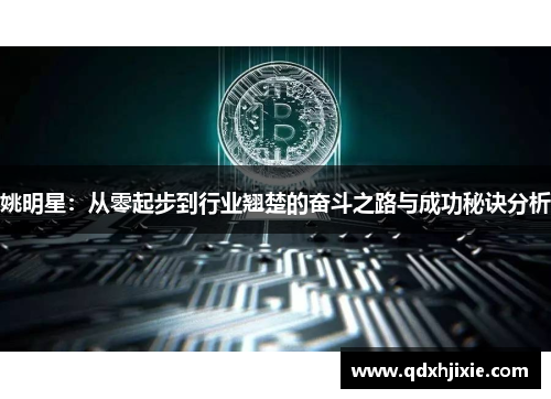 姚明星：从零起步到行业翘楚的奋斗之路与成功秘诀分析