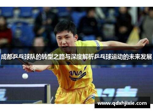 成都乒乓球队的转型之路与深度解析乒乓球运动的未来发展