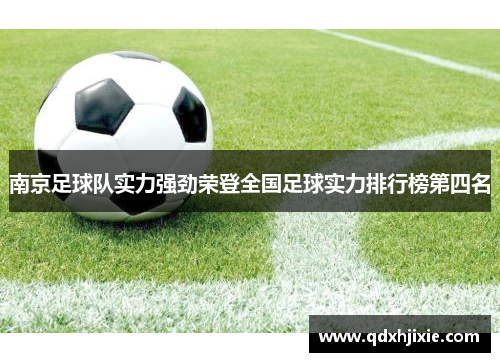 南京足球队实力强劲荣登全国足球实力排行榜第四名