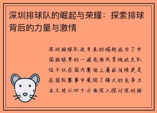 深圳排球队的崛起与荣耀：探索排球背后的力量与激情