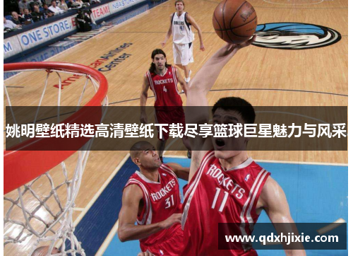 姚明壁纸精选高清壁纸下载尽享篮球巨星魅力与风采